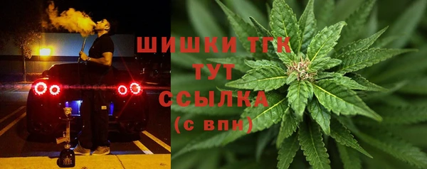 гашик Верея