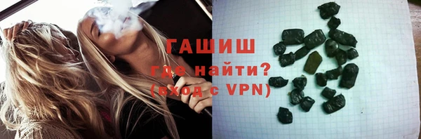 гашик Верея
