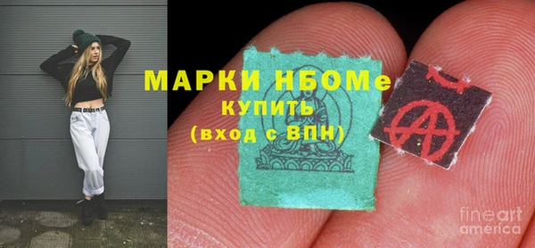 гашик Верея