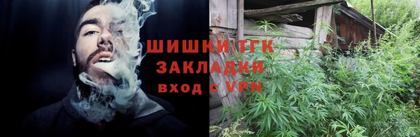соль ск Богданович