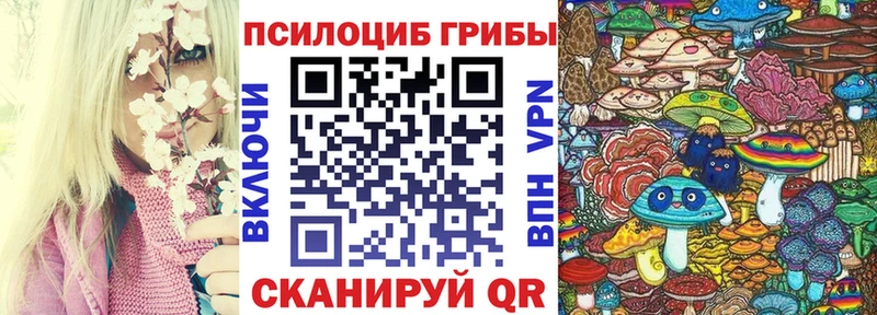 Галлюциногенные грибы мицелий  где купить наркоту  Сретенск 